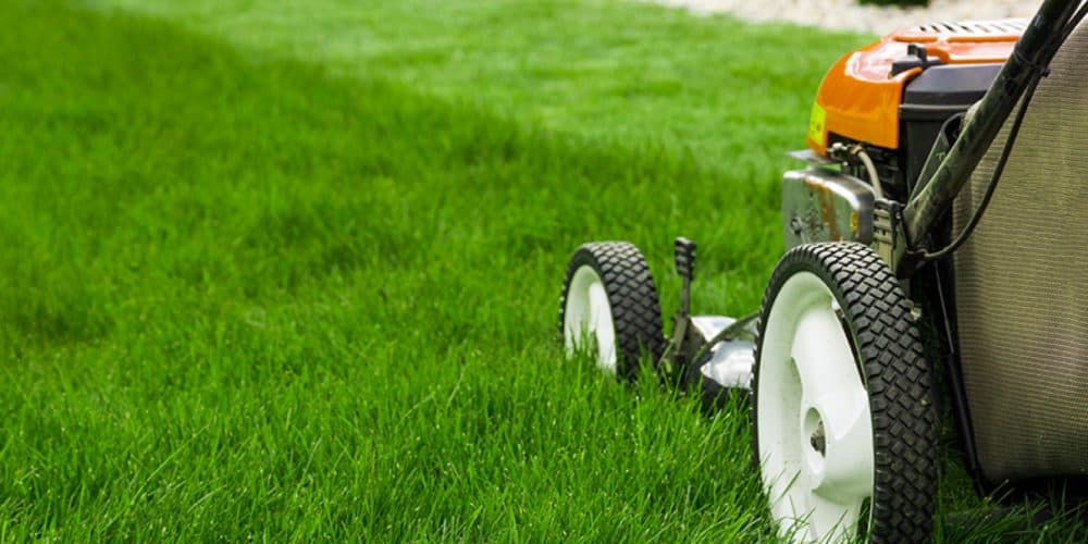 Edmonton Home Maintenance - Autumn Checklist 2 Keylo University - Edmonton Home Maintenance - Care for your lawn